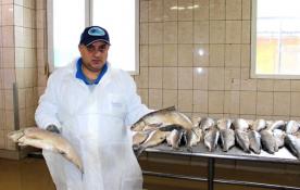Тюменский филиал всероссийского НИИ рыбного хозяйства и океанографии